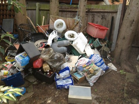 Cleaned and organized garden space